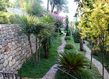 Hortikultura